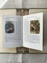 Load image into Gallery viewer, Vintage Observer's Book of Birds