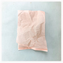 Load image into Gallery viewer, Organdie - Shell Pink