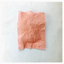 Load image into Gallery viewer, Organdie - Peach